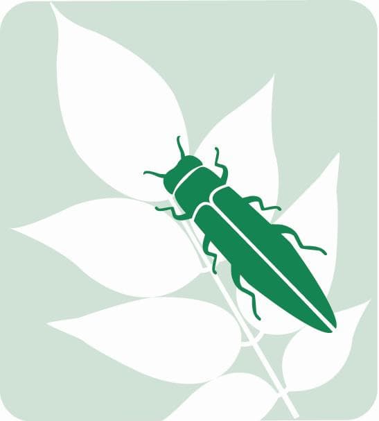 EAB Network Logo