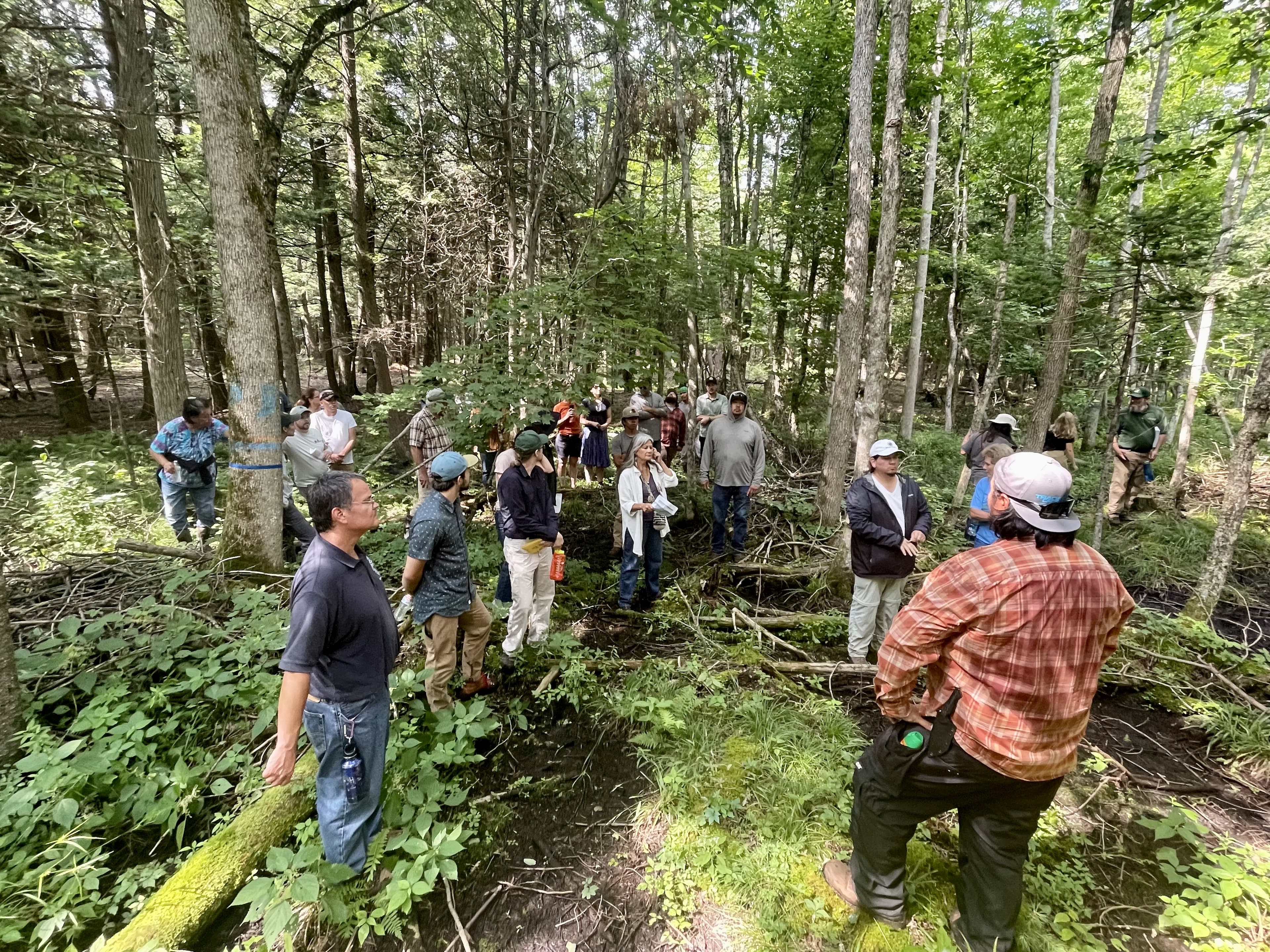 Figure 9 - Co-organized Tribal Nations Black Ash Basketmakers Gathering with Indigenous partners