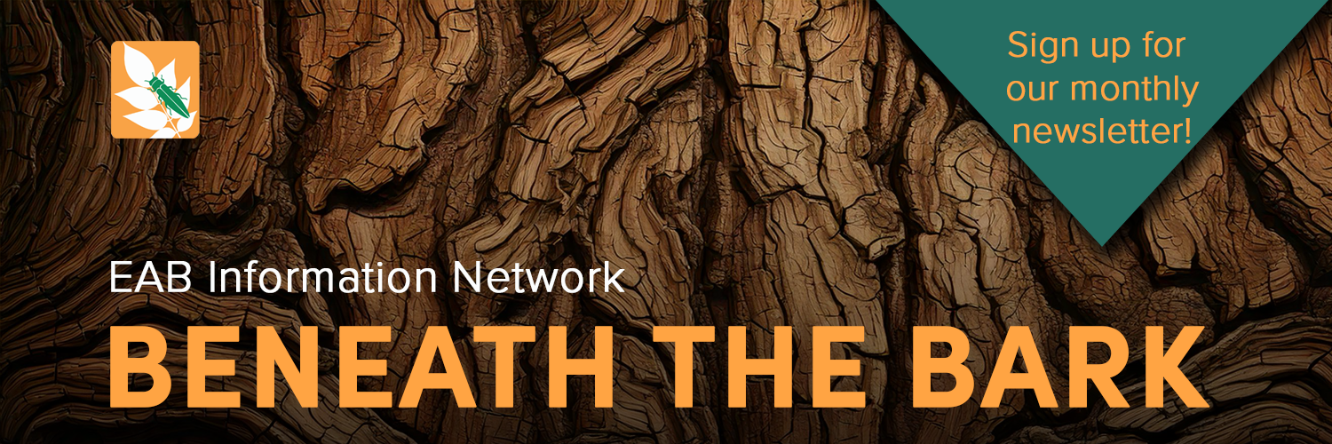 EAB information Network Beneath the Bark sign up for our monthly newsletter!